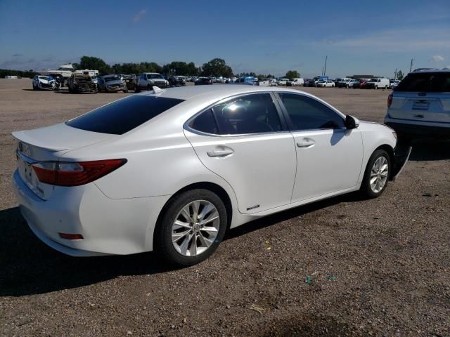 2014 Lexus ES 300H