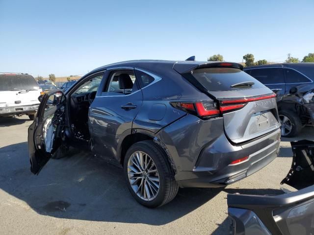 2022 Lexus NX 350H