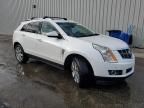 2012 Cadillac SRX Performance Collection