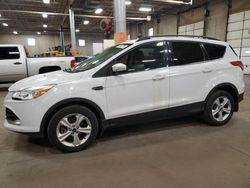 Ford Vehiculos salvage en venta: 2014 Ford Escape SE