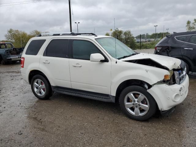 2011 Ford Escape Limited