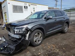 Salvage cars for sale at New Britain, CT auction: 2023 Hyundai Santa FE SEL