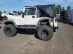 2002 Jeep Wrangler / TJ Sport