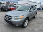 2007 Hyundai Santa FE SE