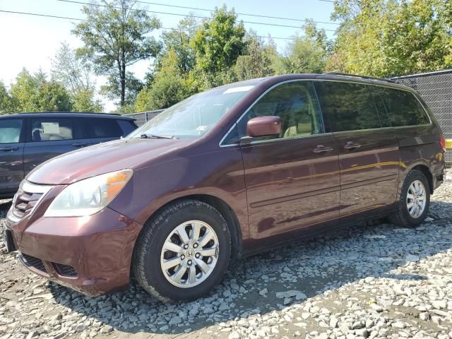 2010 Honda Odyssey EXL