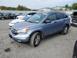 Honda salvage cars for sale: 2010 Honda CR-V EX