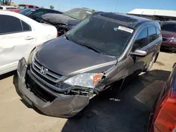 2010 Honda CR-V EXL en venta en Brighton, CO