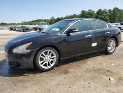 Flood-damaged cars for sale at auction: 2011 Nissan Maxima S