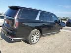 2023 Cadillac Escalade Premium Luxury Platinum