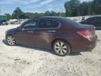 2010 Honda Accord EX