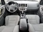 2005 Ford Escape XLT