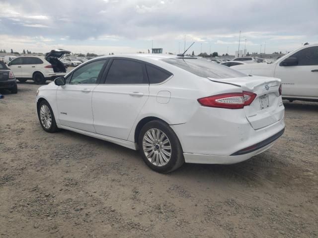 2016 Ford Fusion SE Hybrid