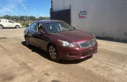 Salvage cars for sale at Hillsborough, NJ auction: 2010 Honda Accord EXL