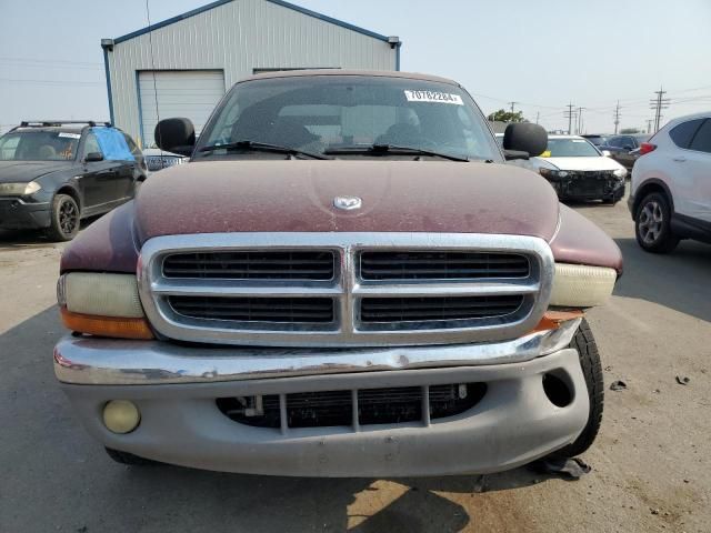 2000 Dodge Dakota Quattro