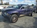 1999 Dodge Dakota