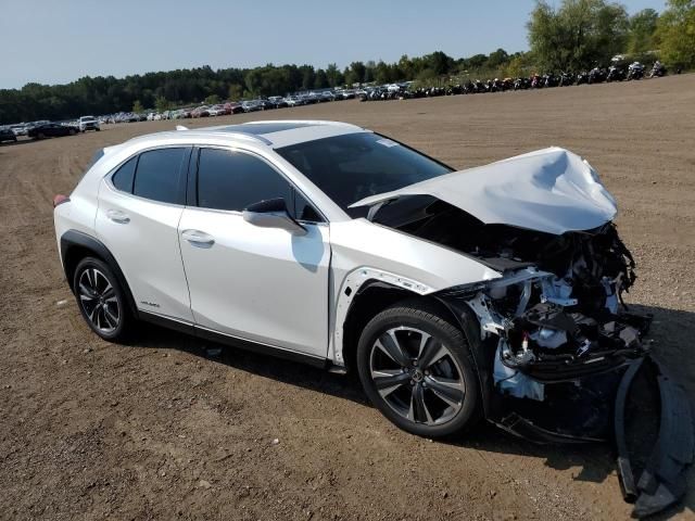 2019 Lexus UX 250H