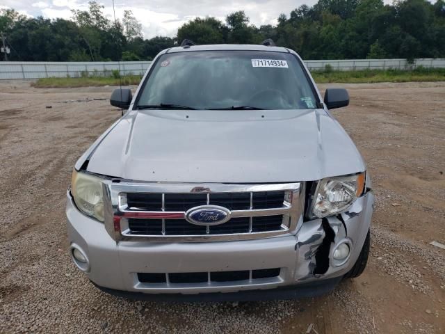 2009 Ford Escape XLT