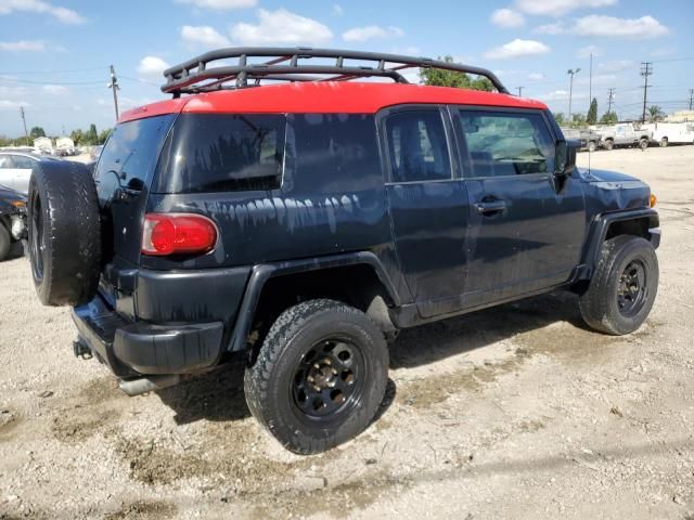 2007 Toyota FJ Cruiser