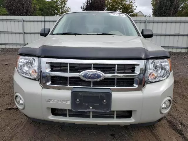 2008 Ford Escape XLT