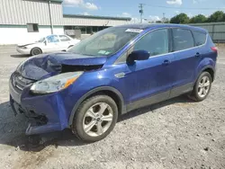 Ford salvage cars for sale: 2016 Ford Escape SE