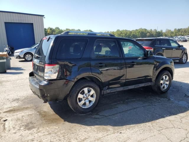 2010 Ford Escape Limited