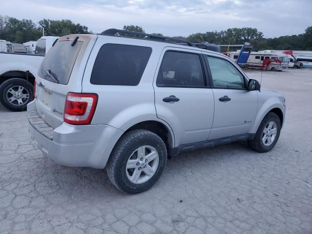 2010 Ford Escape Hybrid