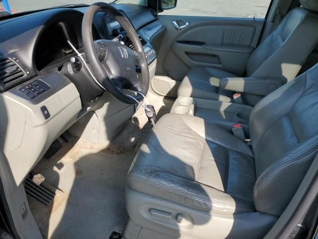 2005 Honda Odyssey EXL