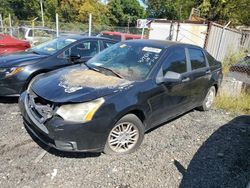 Ford salvage cars for sale: 2010 Ford Focus SE