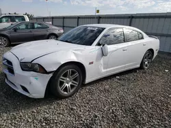 Dodge salvage cars for sale: 2014 Dodge Charger R/T