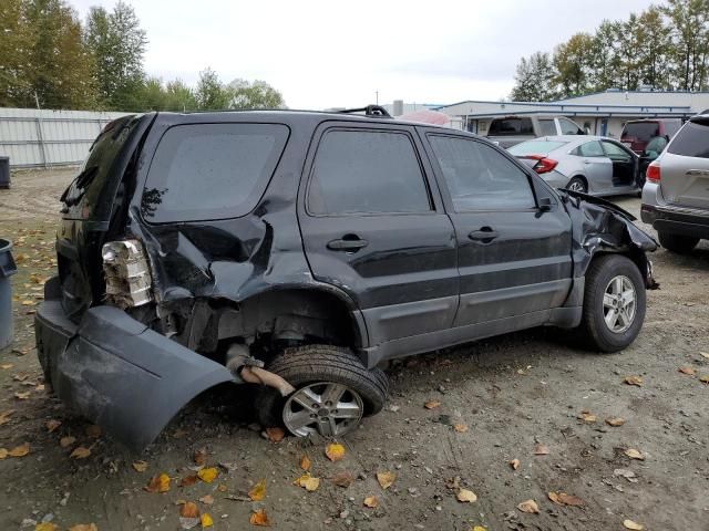 2006 Ford Escape XLS