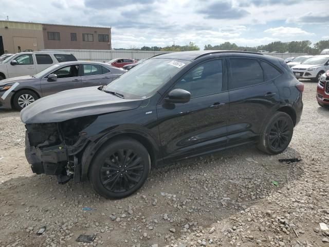 2023 Ford Escape ST Line Elite