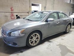 2014 Nissan Maxima S en venta en Ham Lake, MN