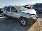 2005 Ford Escape XLT