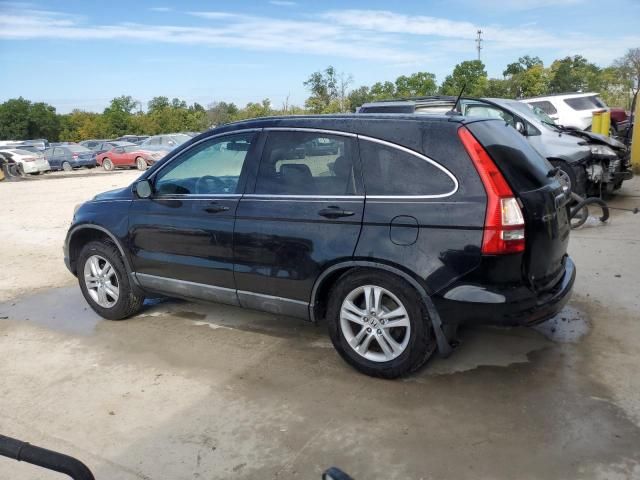 2010 Honda CR-V EXL