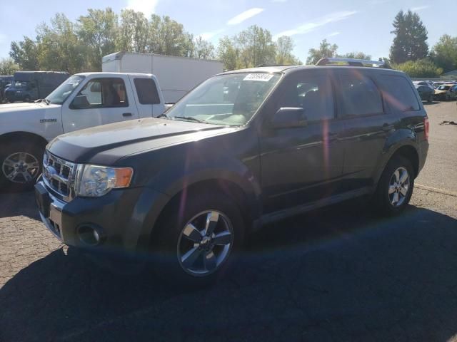 2009 Ford Escape Limited