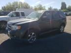 2009 Ford Escape Limited