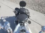 2001 Harley-Davidson Flstci