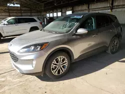 Ford salvage cars for sale: 2022 Ford Escape SEL