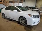 2011 Lexus HS 250H