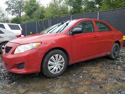 Toyota salvage cars for sale: 2010 Toyota Corolla Base