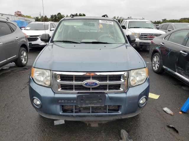 2011 Ford Escape XLT