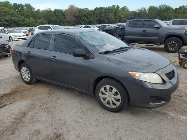 2010 Toyota Corolla Base