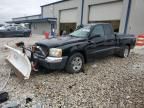 2005 Dodge Dakota SLT