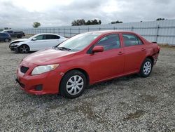 Toyota salvage cars for sale: 2010 Toyota Corolla Base