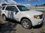 2008 Ford Escape XLT