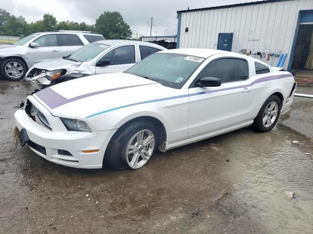 2014 Ford Mustang