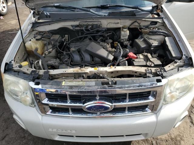 2008 Ford Escape XLT