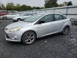 Ford salvage cars for sale: 2013 Ford Focus SE