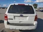 2010 Ford Escape XLS