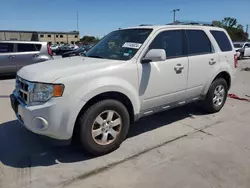 Ford salvage cars for sale: 2011 Ford Escape Limited